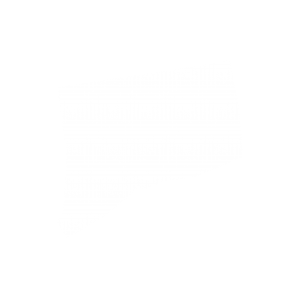 CONNECTICUT-STATE-ICON