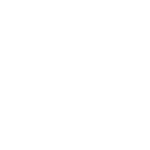 SOUTH-CAROLINA-STATE-ICON
