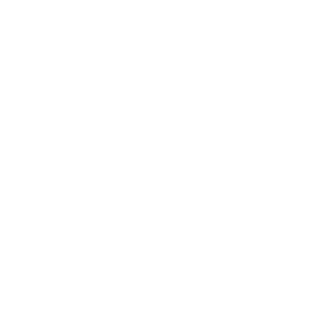 NORTH-CAROLINA-STATE-ICON