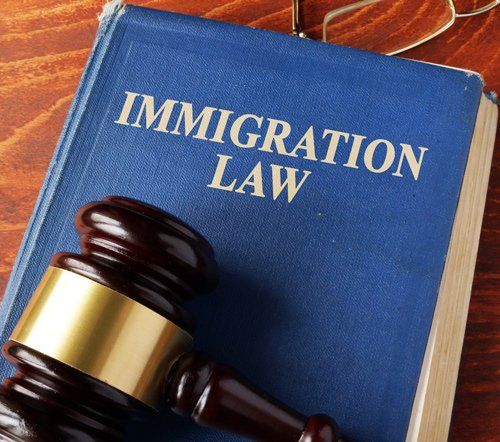 Book with Title Immigration Law — De Pere, WI — One Law Group S.C Book with Title Immigration Law — De Pere, WI — One Law Group S.C