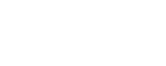 Salmon Agency Logo