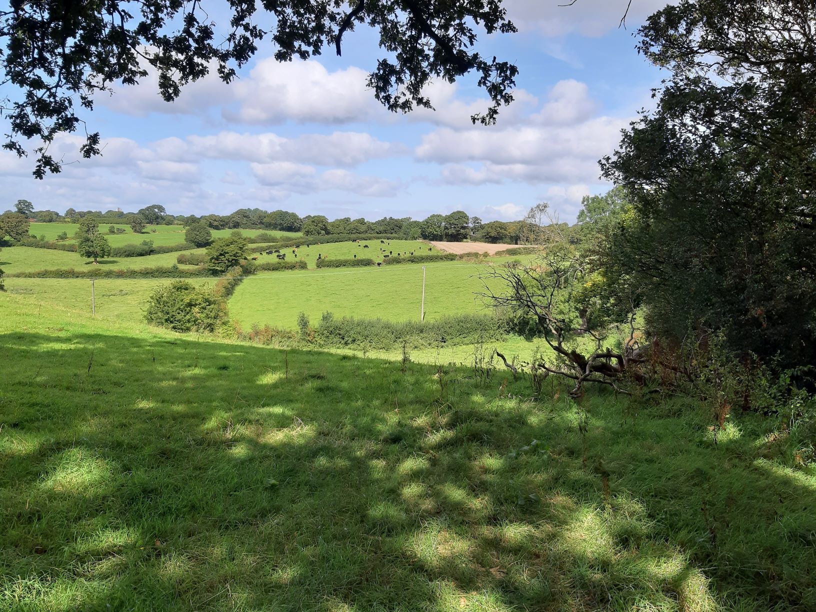 Hope Hall Wrexham For Sale Atchams