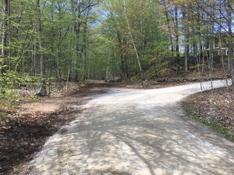 Un chemin de terre en forêt se divise en deux. La lumière du soleil filtre à travers les arbres ; feuillage de début de printemps.