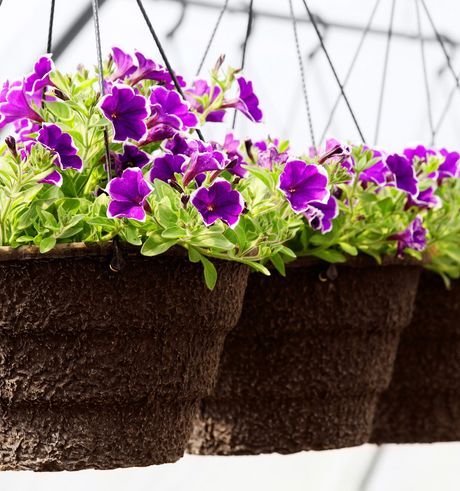 Diseño de Jardines y Riegos JM -Decoración de espacios
