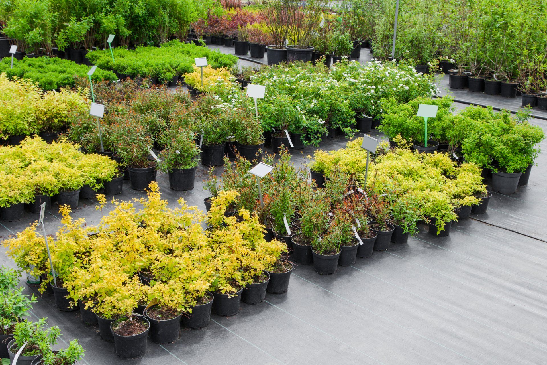 Diseño de Jardines y Riegos JM -Servicios de jardinería