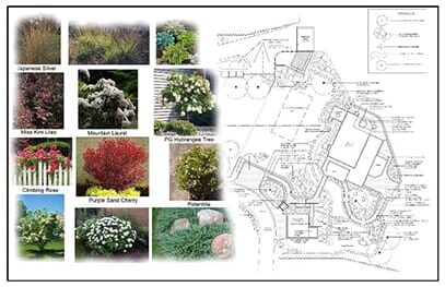 Planting Design - Landscape in Portland, ME Planting Design - Landscape in Portland, ME