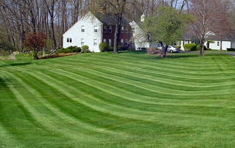 Backyard Grass Trimming - Turf Management in Portland, ME Backyard Grass Trimming - Turf Management in Portland, ME