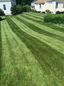 Grass Trimming - Turf Management in Portland, ME Grass Trimming - Turf Management in Portland, ME