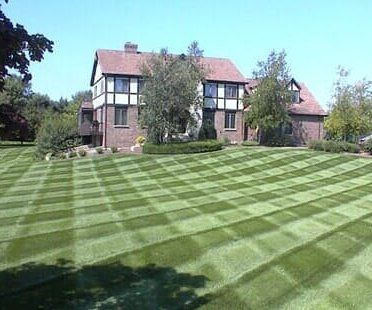 Grass Trimming - Landscape in Portland, ME Grass Trimming - Landscape in Portland, ME