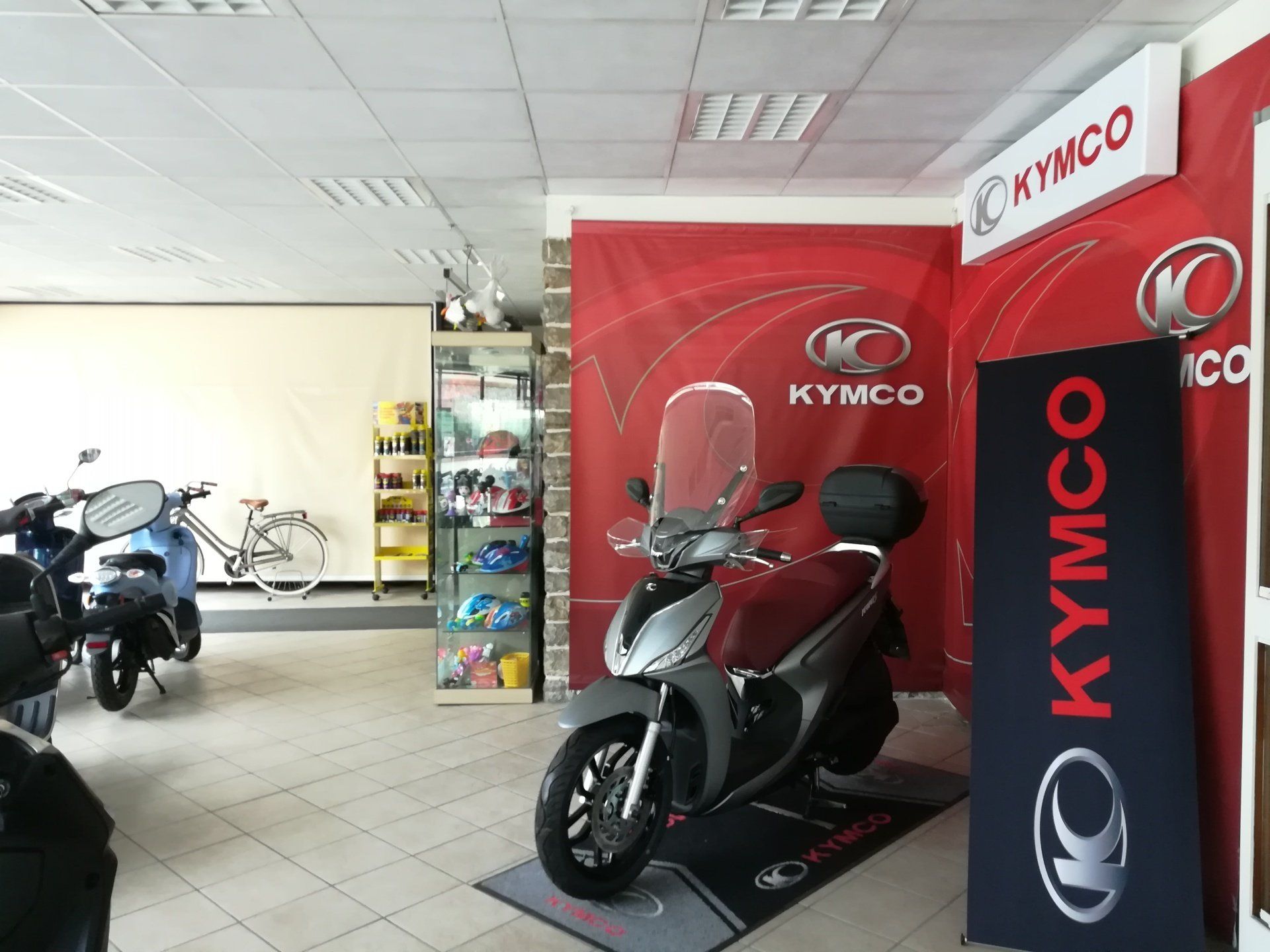 renzo bacci1