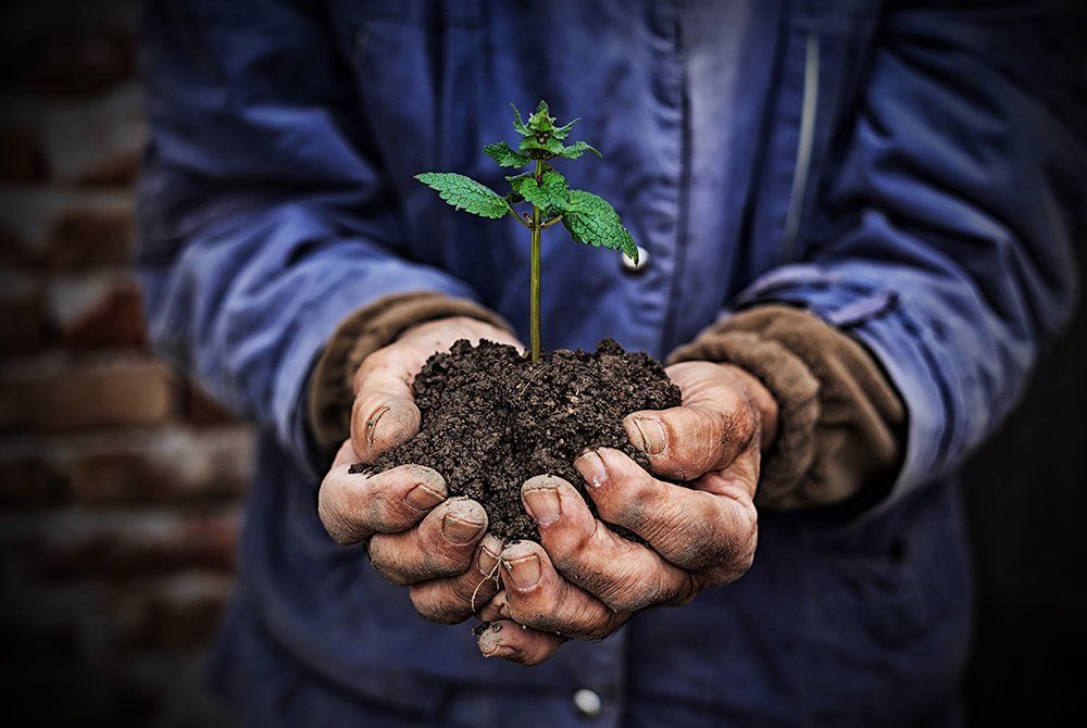 TOPSOIL