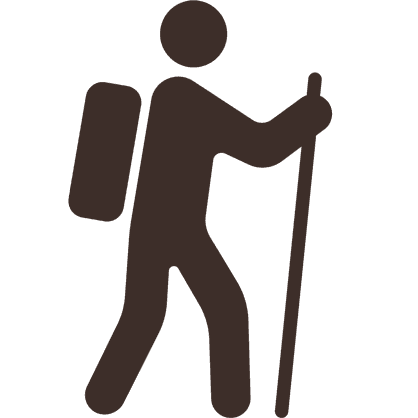 walking icon