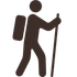 walking icon