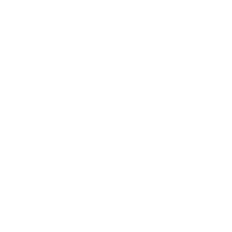 google plus icon