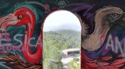Geheime eilandtour