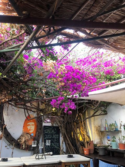La Finca Can Suldat