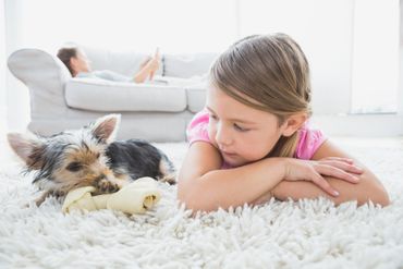 Carpet Repair —Different Types of Oriental Rugs in Wilmington, DE