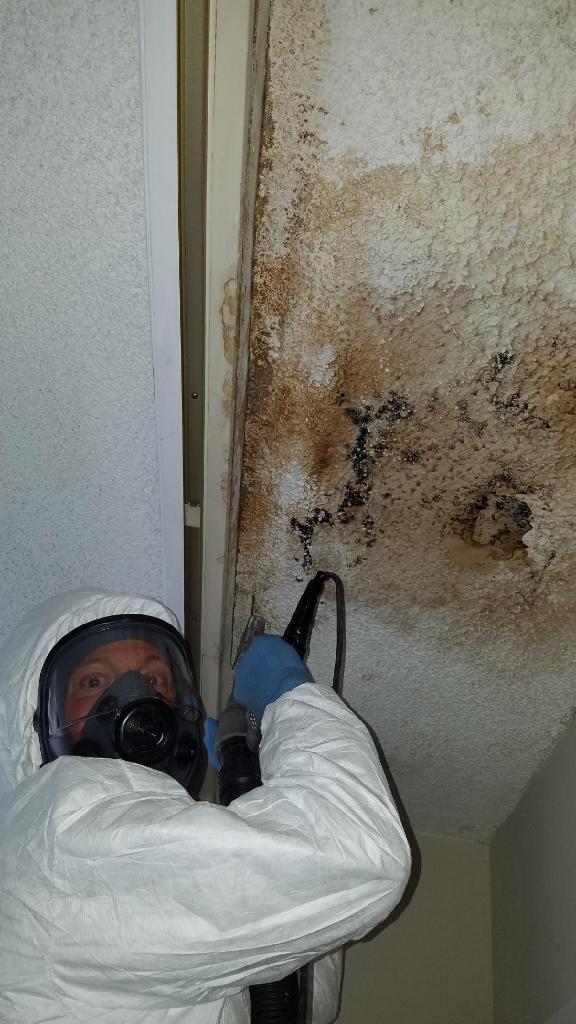 Mold Remediation Service, B&B Carpet Restoration Glendora CA