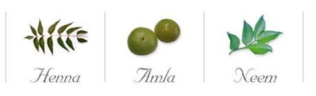 Natural ingredients of Lasonia