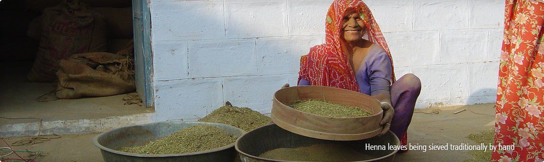 Heena leaves being sieved