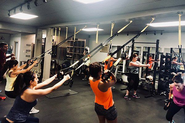 group of people doing trx training