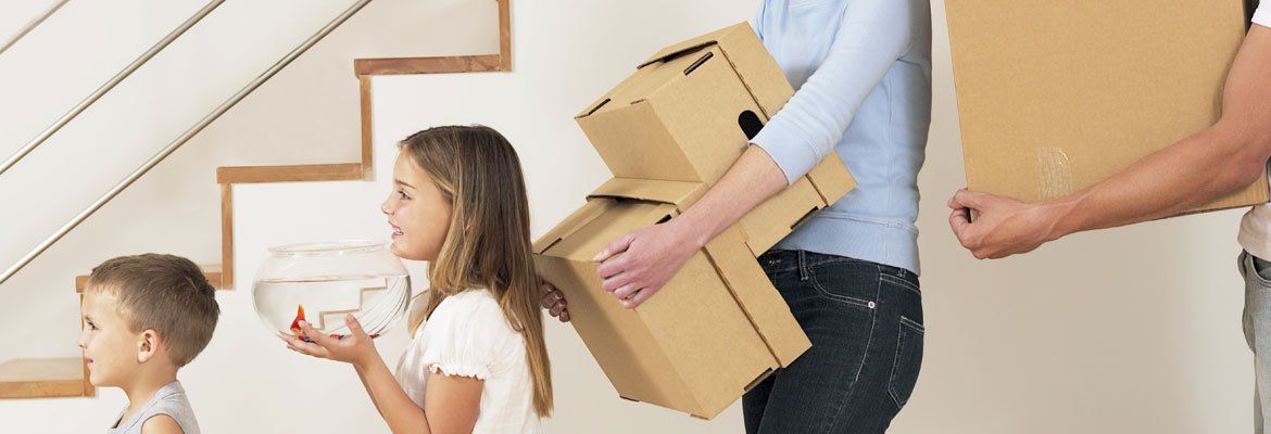 boxes