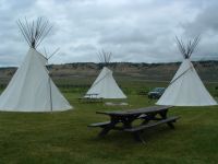 Teepees at Downata