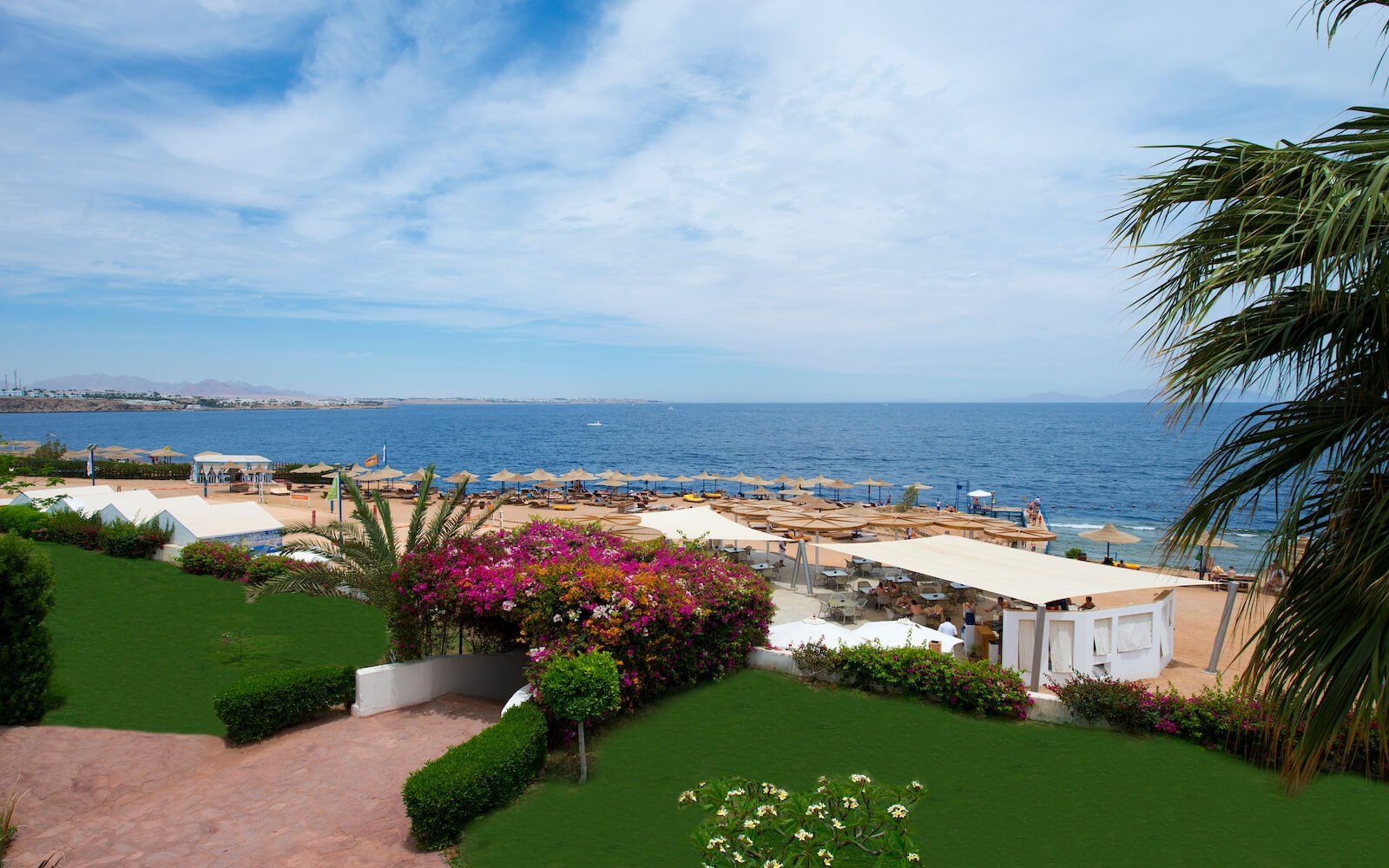 Breathtaking view of the Red Sea at Amphoras Blu 
