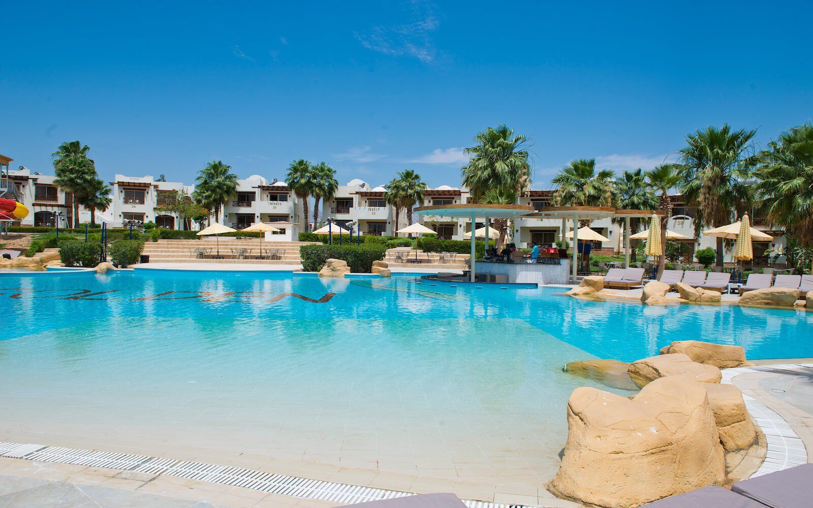 Large outdoor swimming pool with palm trees