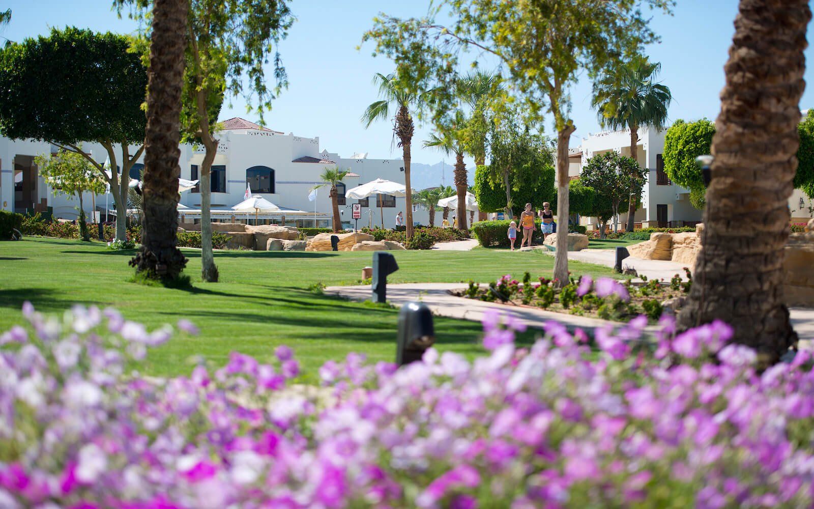 Beautifully landscaped garden with vibrant flowers and trimmed grass.
