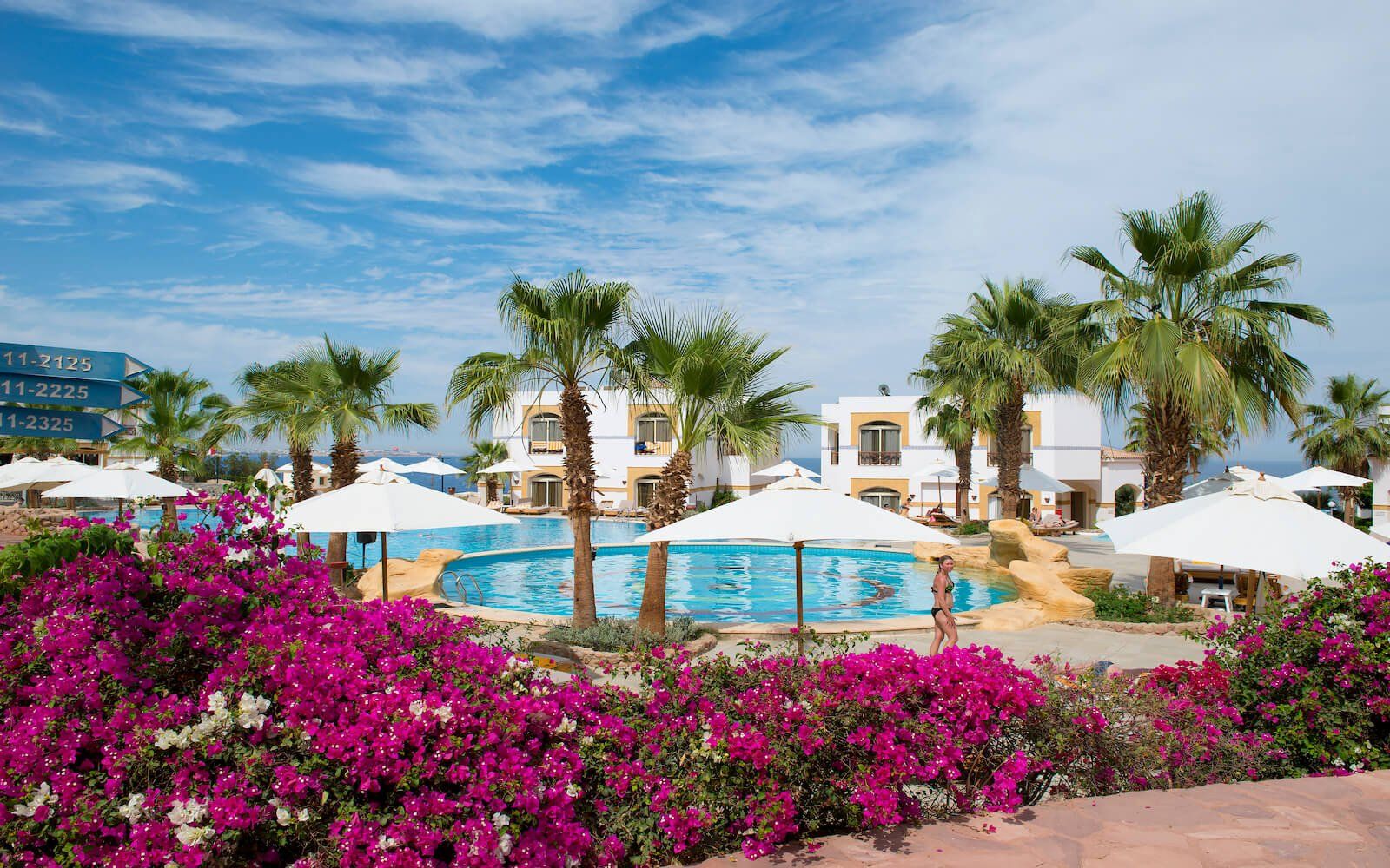 Main swimming pool with bright blue water surrounded by sun loungers and palm trees.