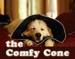 the comfy cone logo