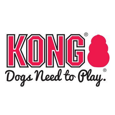 kong logo