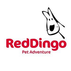 red dingo logo