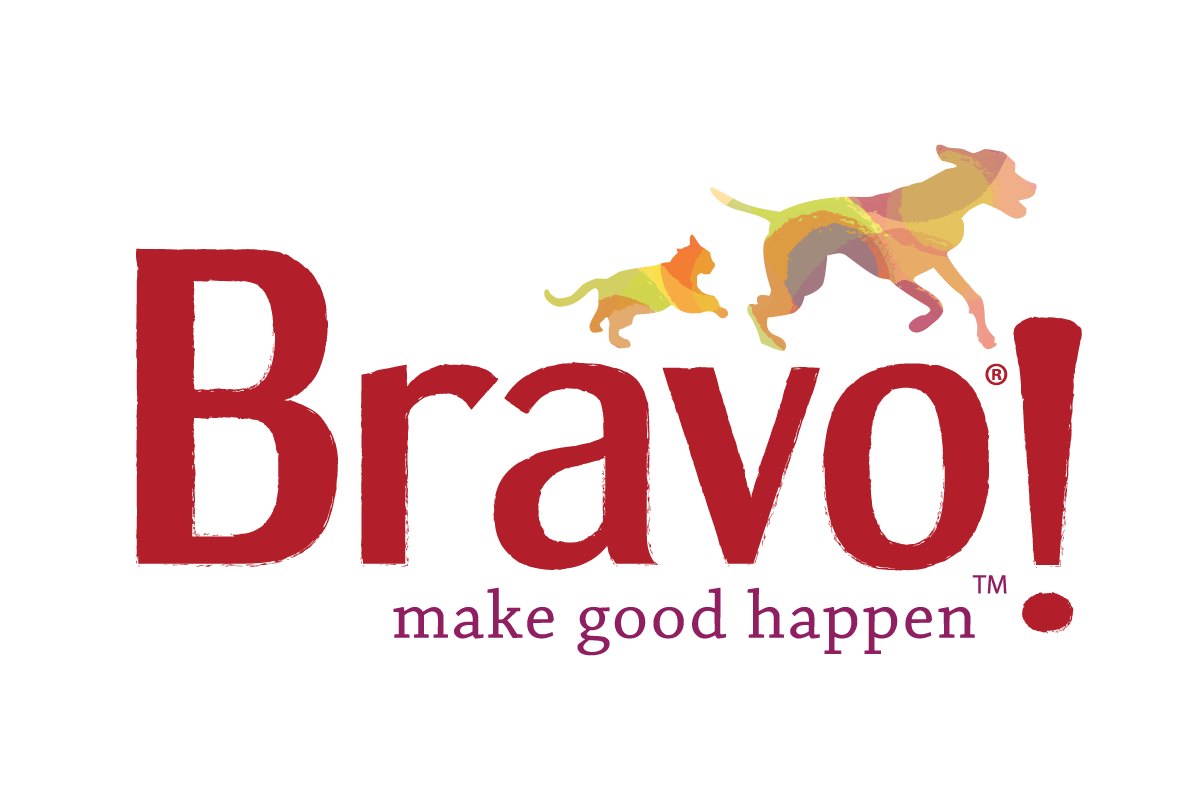 bravo logo