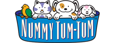 nummy tum tum logo