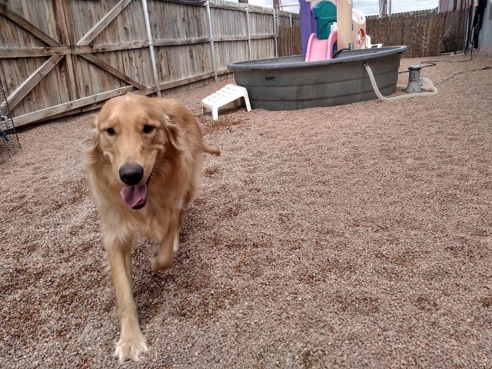 the-bow-wow-barn-facebook-photos-3