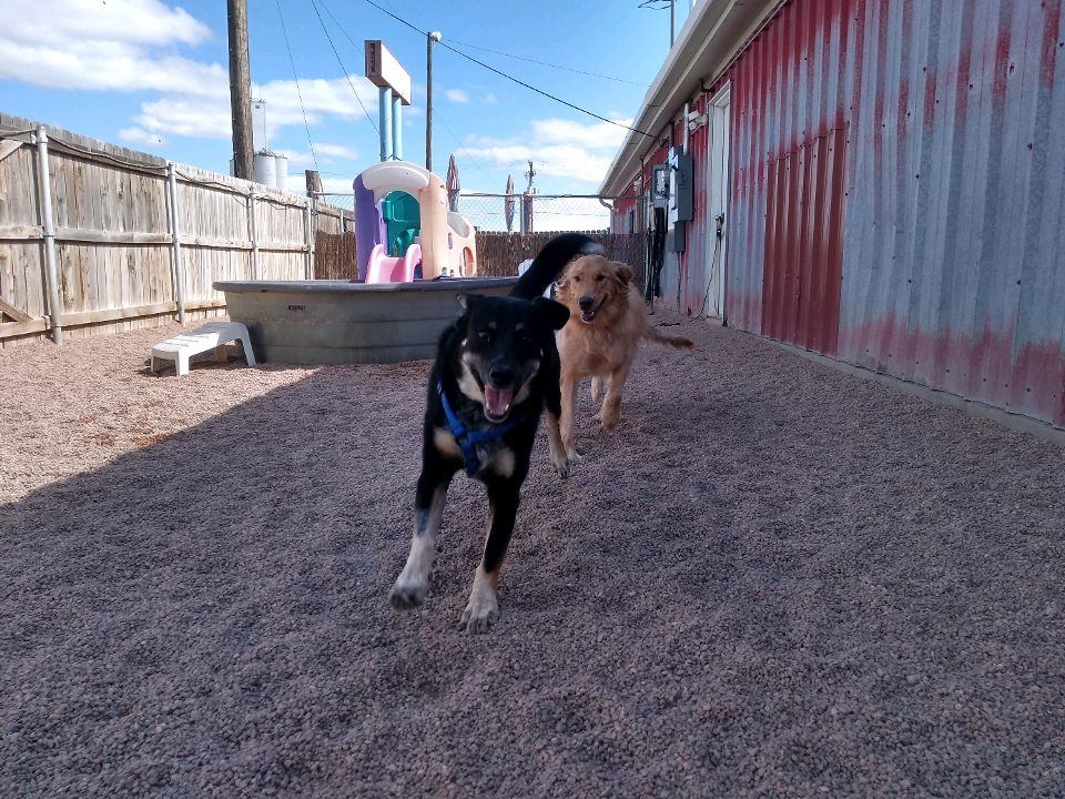 the-bow-wow-barn-facebook-photos-5
