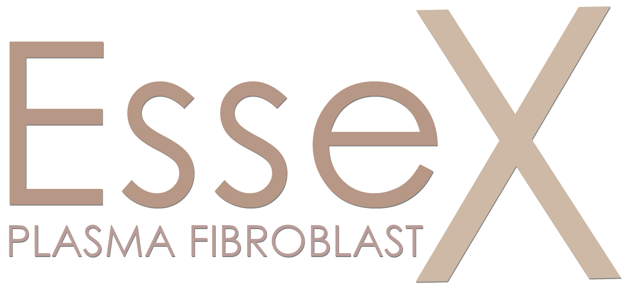 Logo Logo