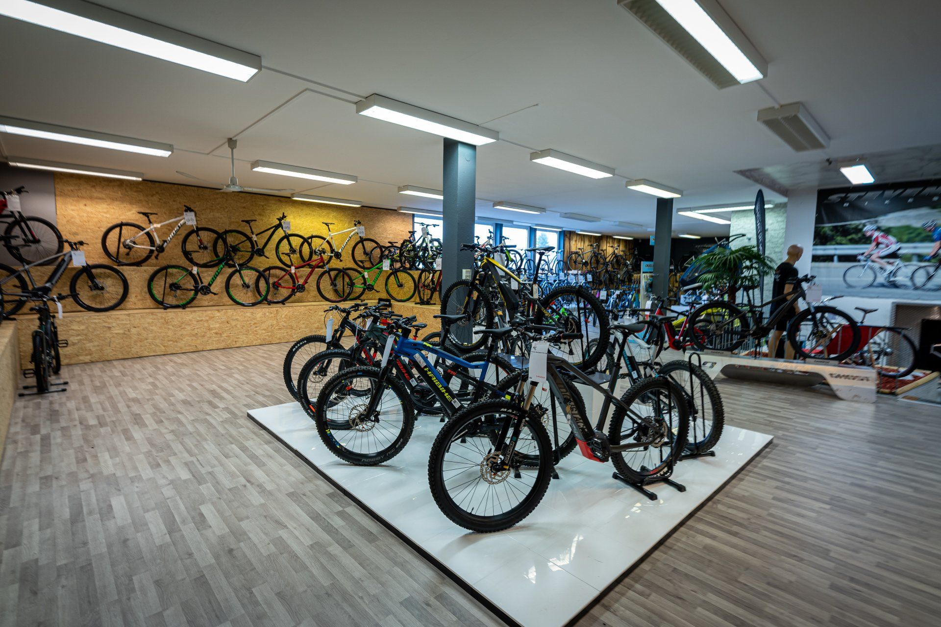 A bicycle store filled with lots of bicycles on display.