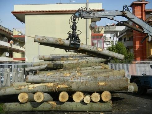 tronchi di legno