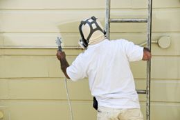Colour swatches used for painting services in Whangarei