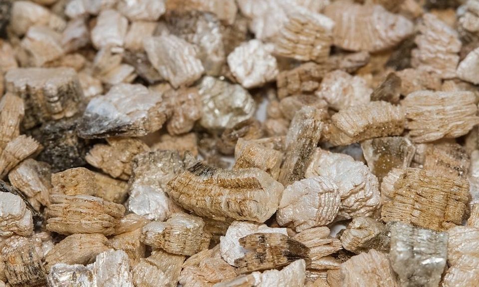 Why You Shouldn’t Remove Vermiculite Yourself