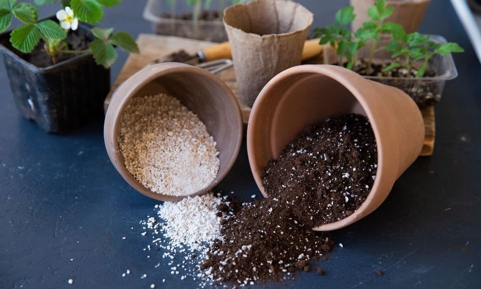 The Difference Between Perlite and Vermiculite
