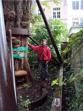 tree-surgery--cupar-blebo-tree-surgery--tree-surgery-Adam Reidi tree-surgery--cupar-blebo-tree-surgery--tree-surgery-Adam Reidi