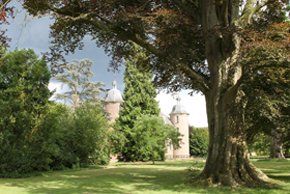 tree-surgery--cupar-blebo-tree-surgery--tree-surgery-Adam Reidi tree-surgery--cupar-blebo-tree-surgery--tree-surgery-Adam Reidi