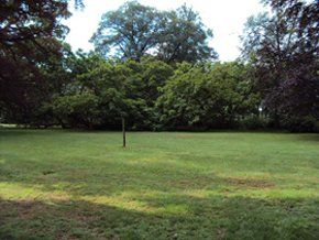 tree-surgery--cupar-blebo-tree-surgery--tomography tree-surgery--cupar-blebo-tree-surgery--tomography