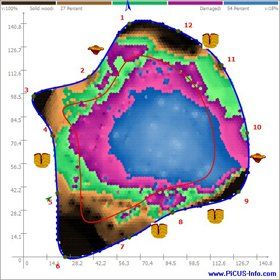 tree-surgery--cupar-blebo-tree-surgery--tomography
