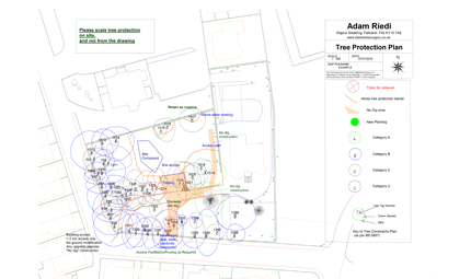 tree-surgery--cupar-blebo-tree-surgery--tree-surgery-Adam Reidi tree-surgery--cupar-blebo-tree-surgery--tree-surgery-Adam Reidi