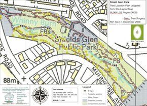 tree-surgery--cupar-blebo-tree-surgery--tree-surgery-Adam Reidi tree-surgery--cupar-blebo-tree-surgery--tree-surgery-Adam Reidi